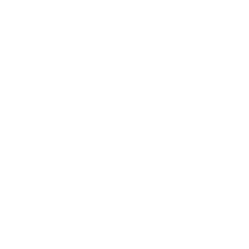 Connected Care building capacity white icon