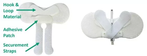 parts of securement device